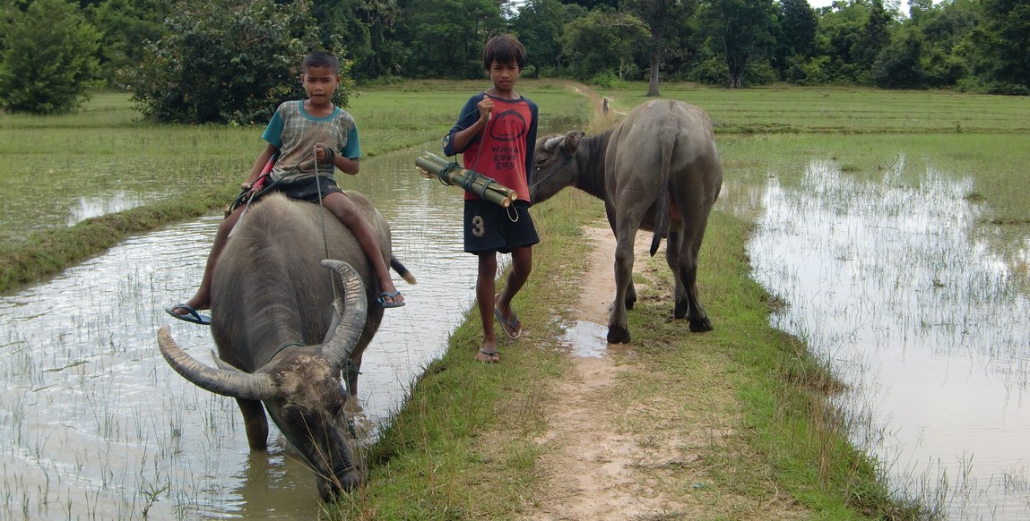 voyage Laos et Cambodge - Ile de Khone