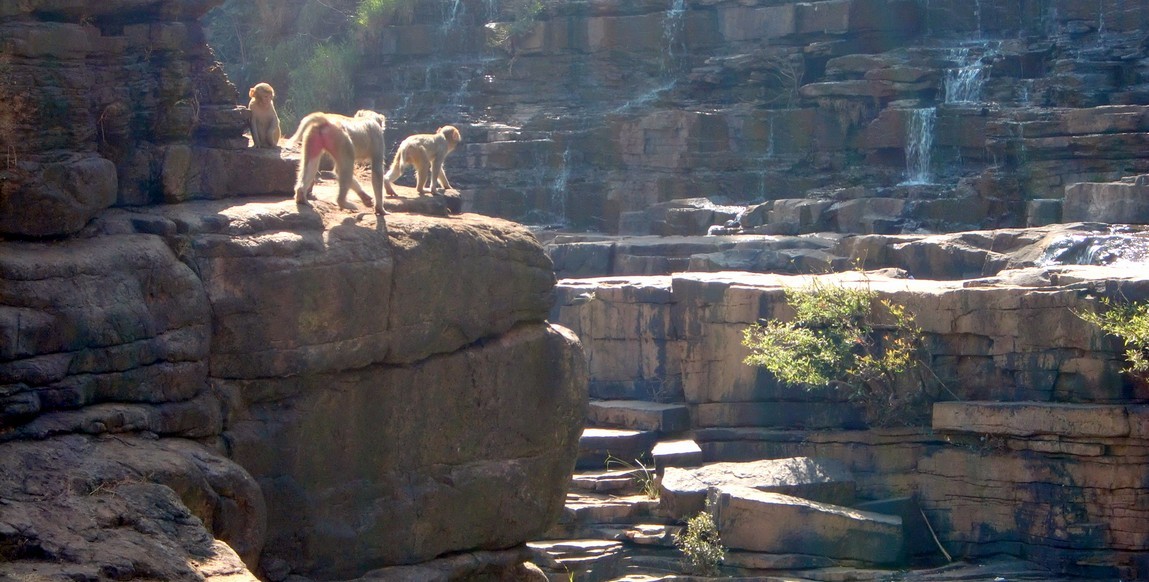 voyage Orissa et Chhattisgarh, cascade de  tiratgarh