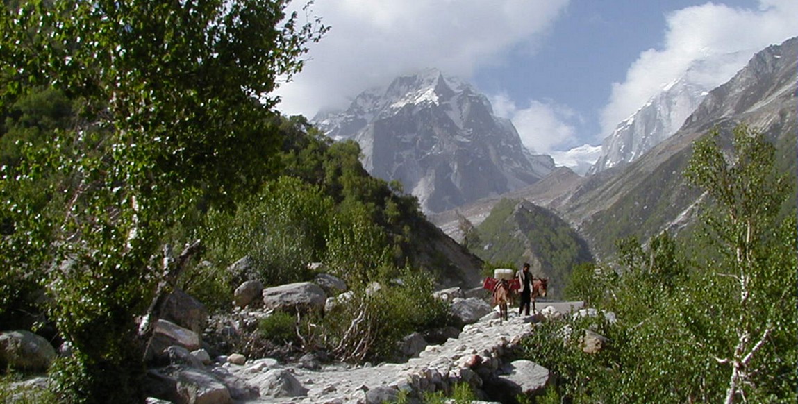 Voyage aux sources du Gange, sur les routes du Char Dham