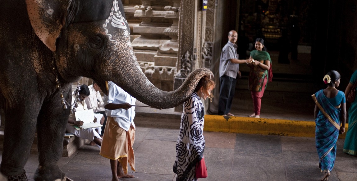 Voyage au Kérala, éléphant au temple de Madurai