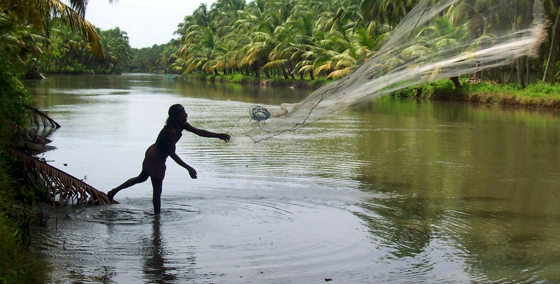 Voyage au Tamil Nadu et Kerala, Backwaters