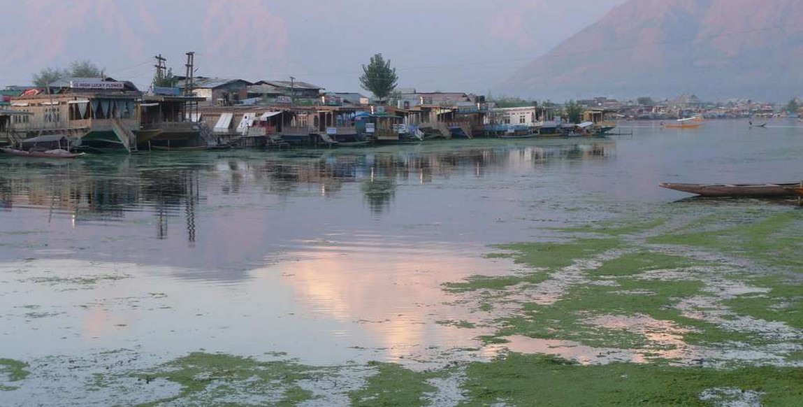 Voyage au Cachemire et Ladakh, Lac Dal