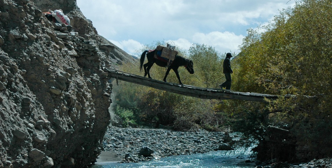 Trek au Ladakh, vallée de Markha - pont