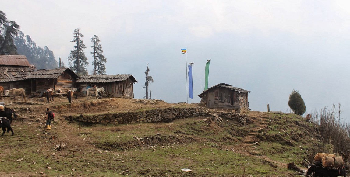 Trek au Sikkim, village près de Tsoka