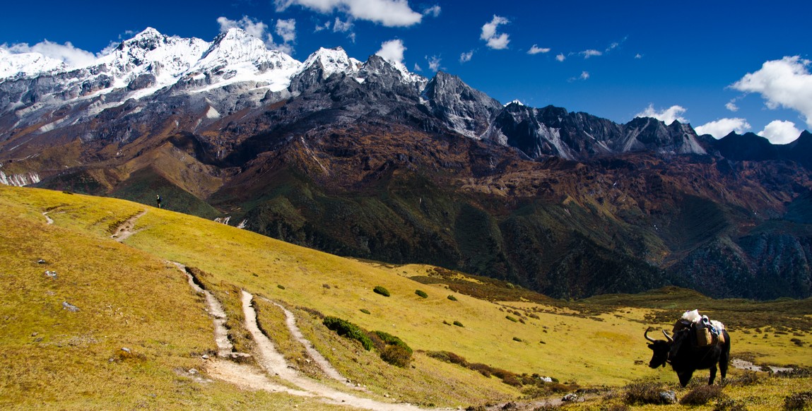 Trek au Sikkim, sur le trajet de la vallée de Dzongri La