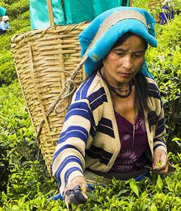 Voyage au Sikkim