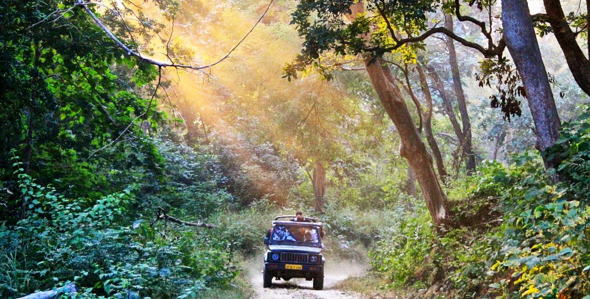 voyage et safaris au Rajasthan, à la recherche des tigres