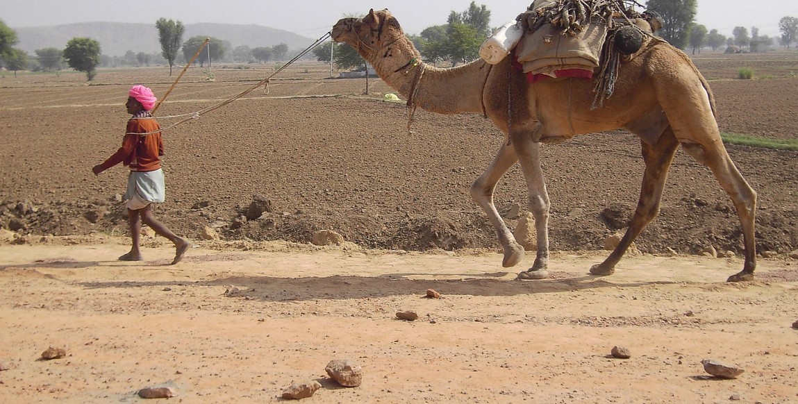 voyage au Rajasthan palais et forts oubliés, dans la campagne