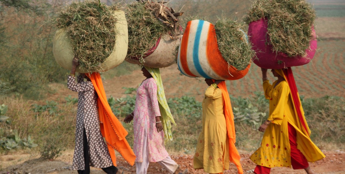 voyage au Rajasthan en liberté, femmes dans la campagne du Rajasthan