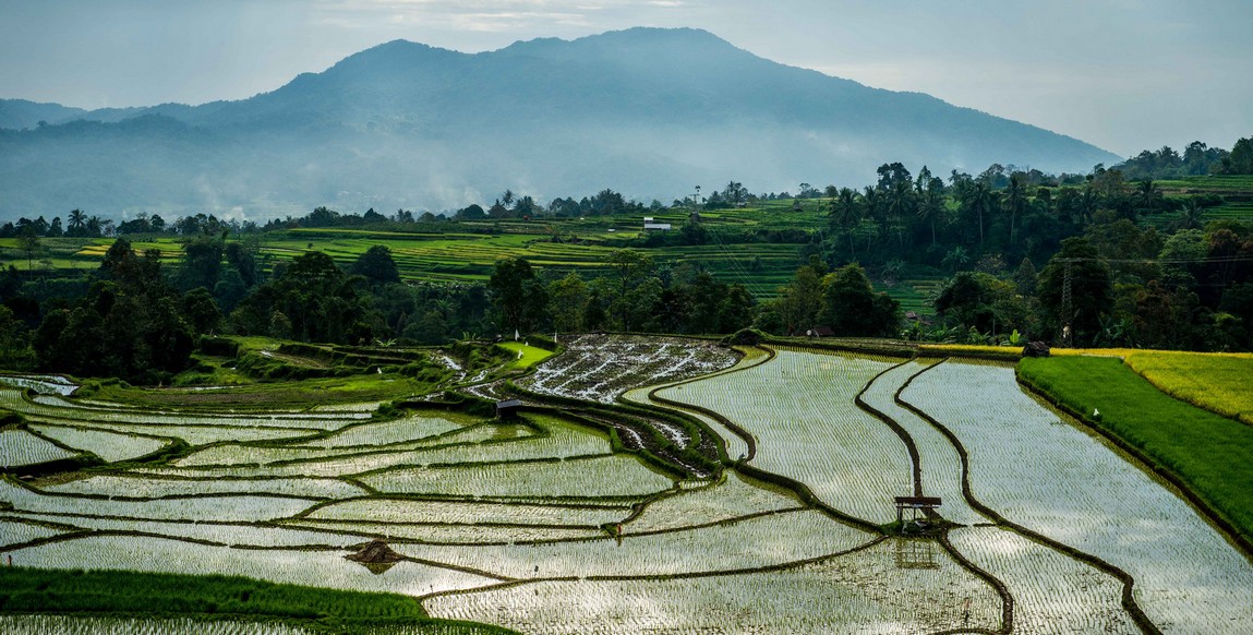 RÃ©sultat de recherche d'images pour "paysage de sumatra"