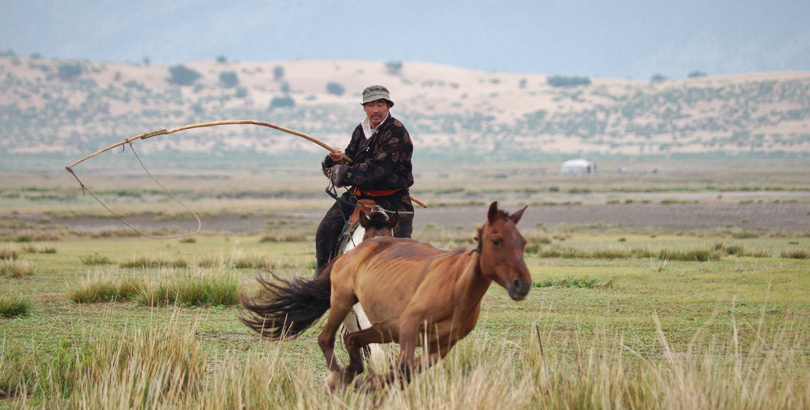 voyage equestre mongolie