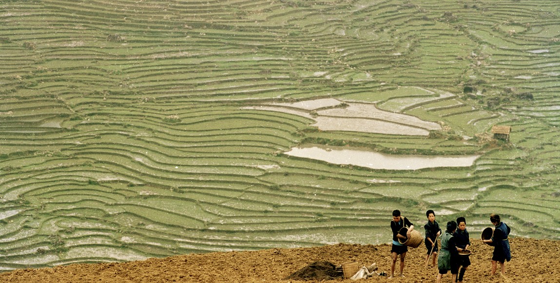 Voyage au Vietnam du nord chez les ethnies montagnardes, les moissons