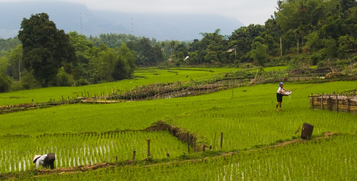 Voyage au Vietnam du nord au sud, campagne de Mai Chau