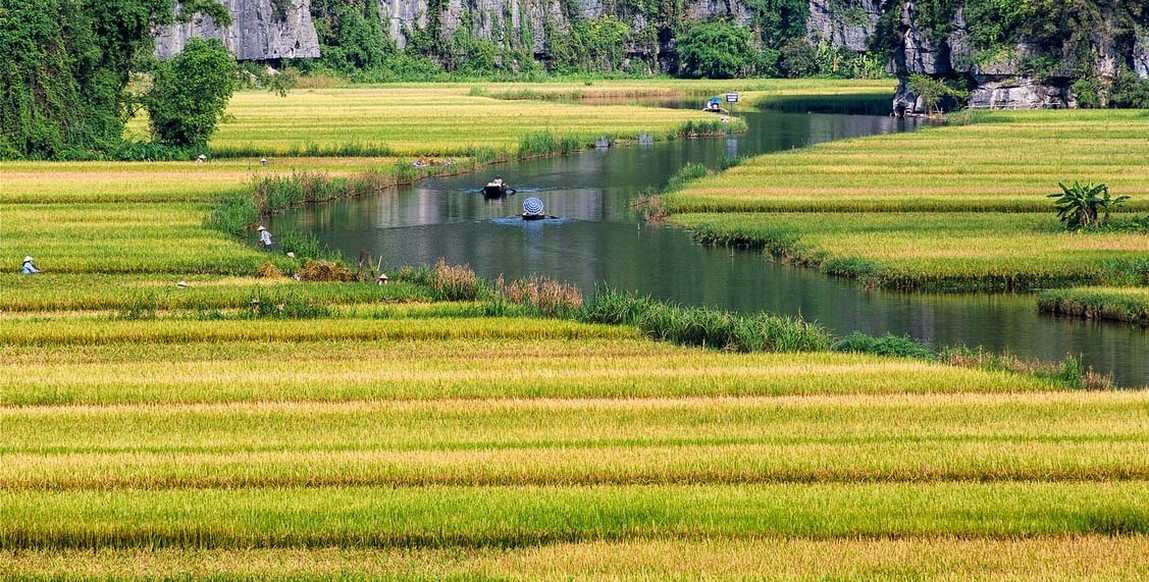 Voyage au Vietnam et Laos, Ninh Binh