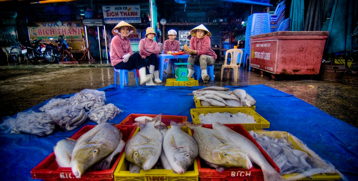 Voyage au Vietnam en liberté, marché aux poissons